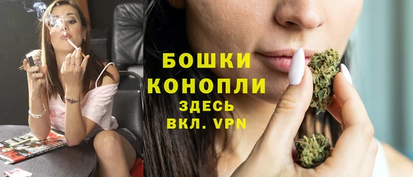 кокс Ельня