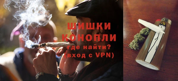 кокс Ельня