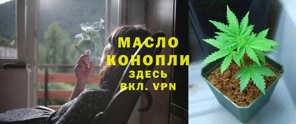 кокс Ельня