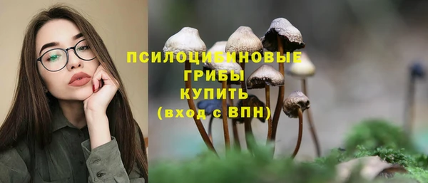 кокс Ельня