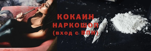 кокс Ельня