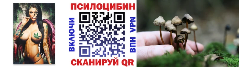 Галлюциногенные грибы мухоморы  ссылка на мегу зеркало  Протвино 
