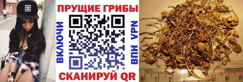 Галлюциногенные грибы ЛСД Протвино