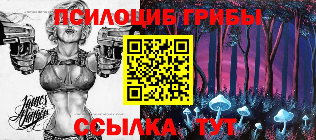 Галлюциногенные грибы Cubensis Протвино