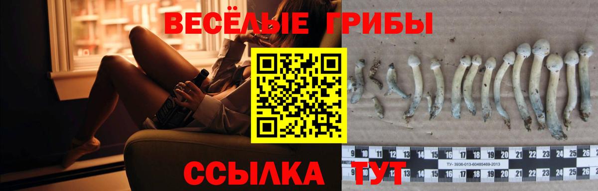 Протвино  Галлюциногенные грибы Psilocybe  Галлюциногенные грибы MAGIC MUSHROOMS  Вход с VPN 